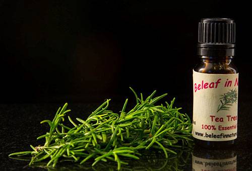 Tea Tree Essential Oil