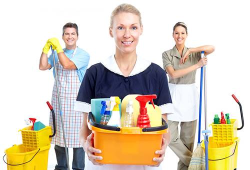 Preparation for apartment disinfection