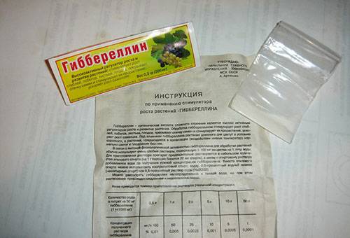 Girerellin - fertilizer for hydrangea