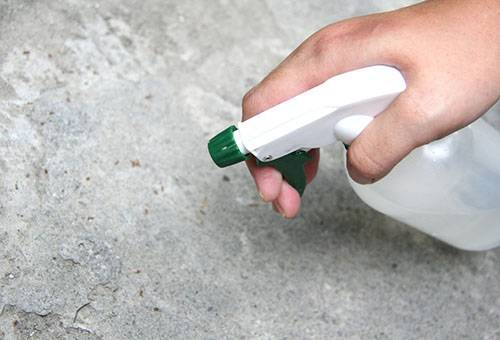 Aerosol from ants