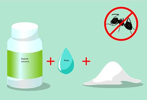Boric acid from ants