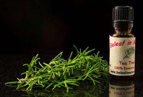 Tea tree oil