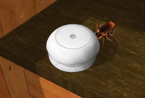 Cockroach trap