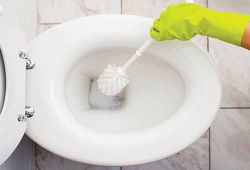 Cleaning the toilet
