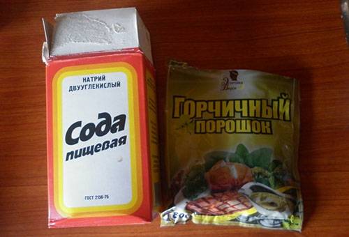 Soda un sinepju pulveris