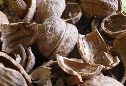 Walnut shell