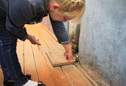The search for the rat in the house