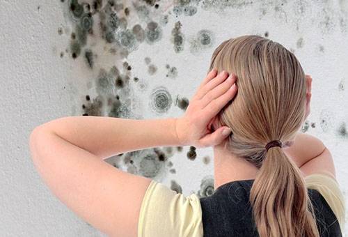 Mold on the walls