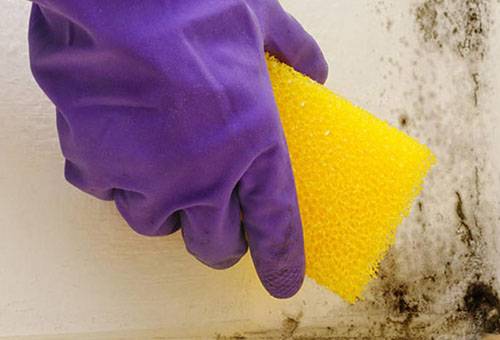 Removing mold from walls