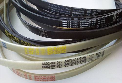Drive belts for a washing machine