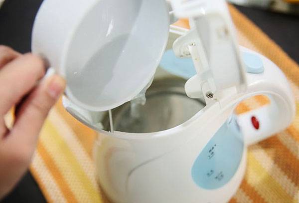 Electric Water Kettle