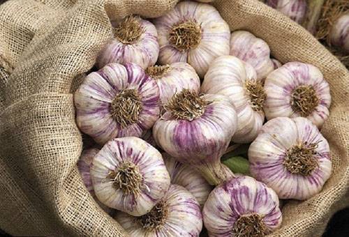 Bag of garlic