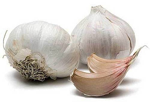 Dry garlic