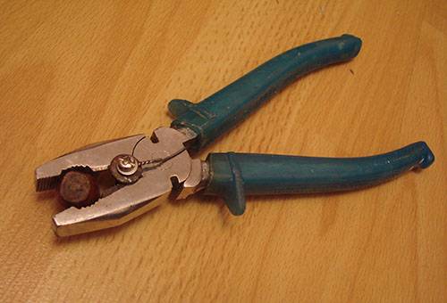 Cleaning hazelnuts with pliers