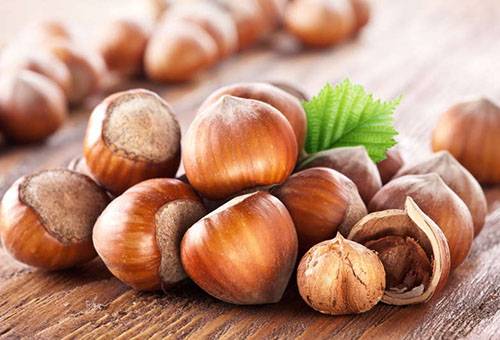Handful of hazelnuts