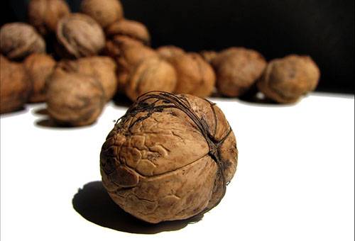 Walnut