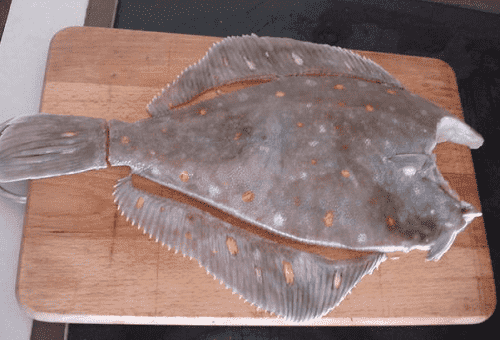 fish fin cutting step