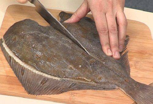 fish flake removal