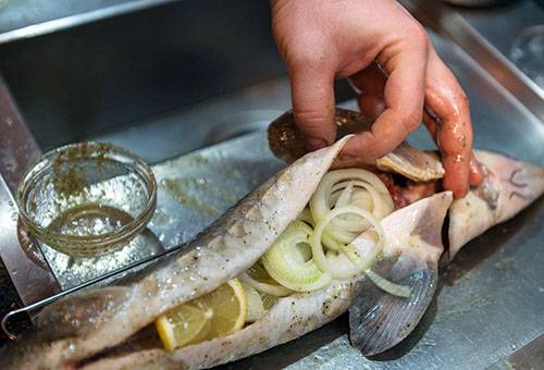 Stuffing Onion Sterlet