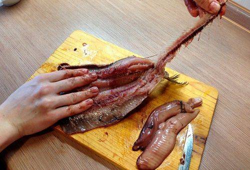 herring fillet