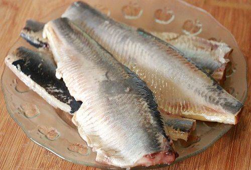 herring fillet