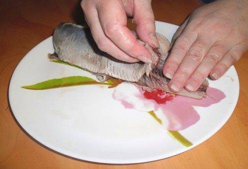 fillet separation