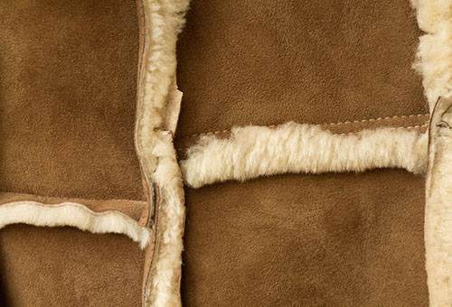 Sheepskin texture