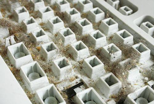 Dirt under the keyboard buttons