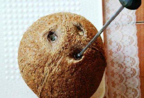 an invert in the coconut holes