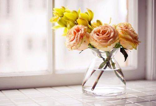 flowers in a vase