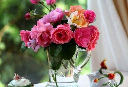 flowers in a vase