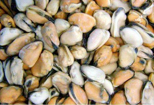 saldētas gliemenes