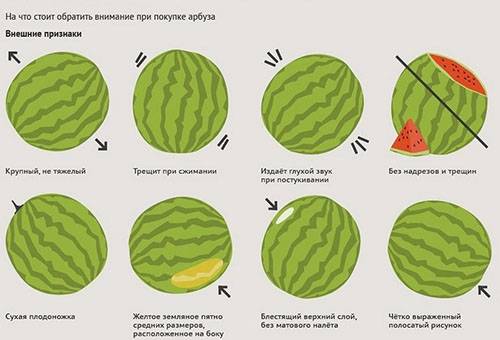 The rules for choosing watermelon