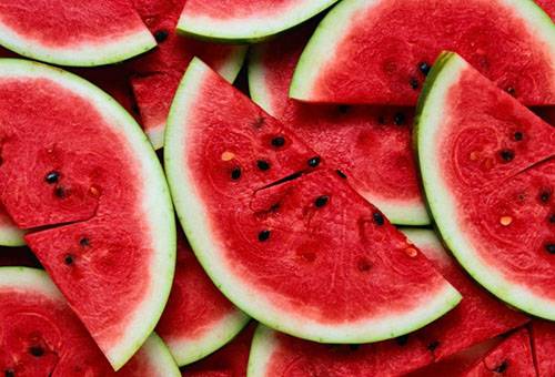 Watermelon slices