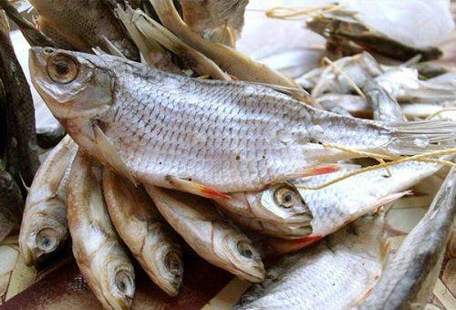 dried fish