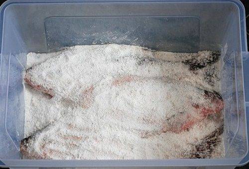 dry fish ambassador