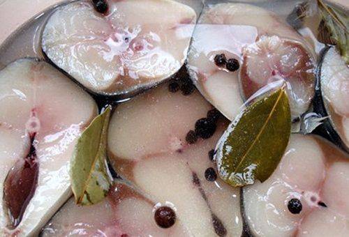 fish in brine