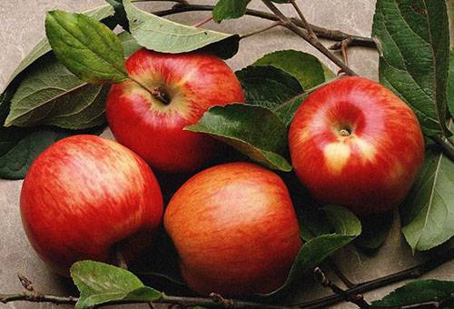 Autumn red apples