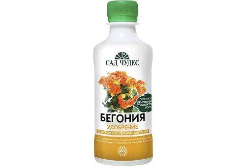 Begonia mēslojums