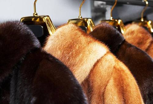 Coats on hangers