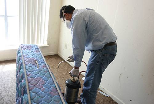 Bedbug treatment