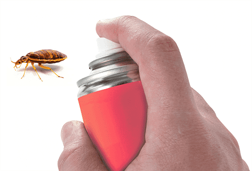 Bedbug aerosol