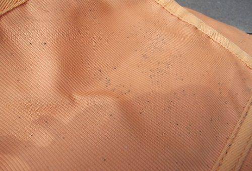 mold on fabric