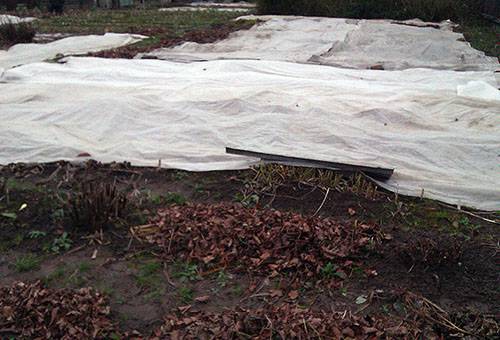 Shelter for winter