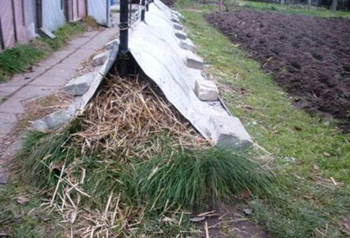 Shelter bed with lilies