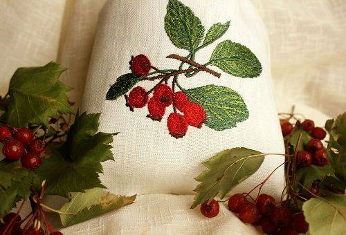 dried hawthorn in a pouch