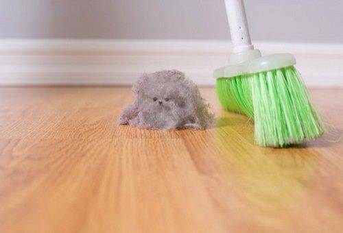 dust on the floor