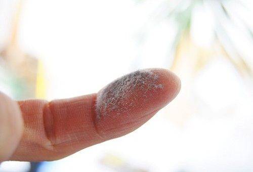 finger dust