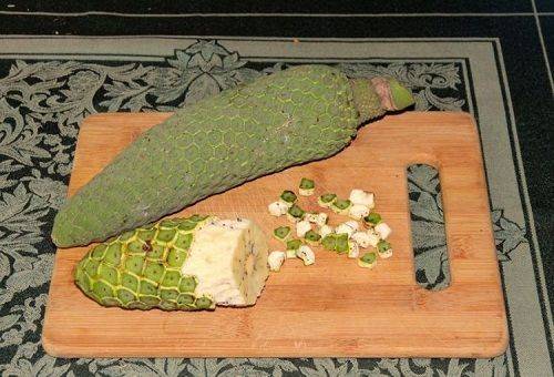 monstera fruit