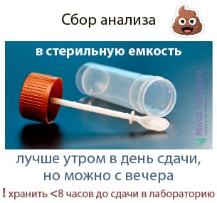 Fecal analysis collection